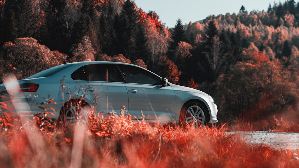 a white car parked in a field of tall grass