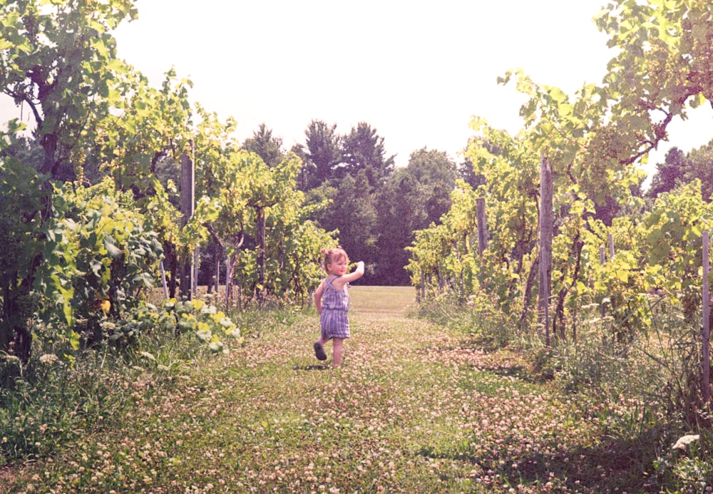 a little girl that is standing in the grass