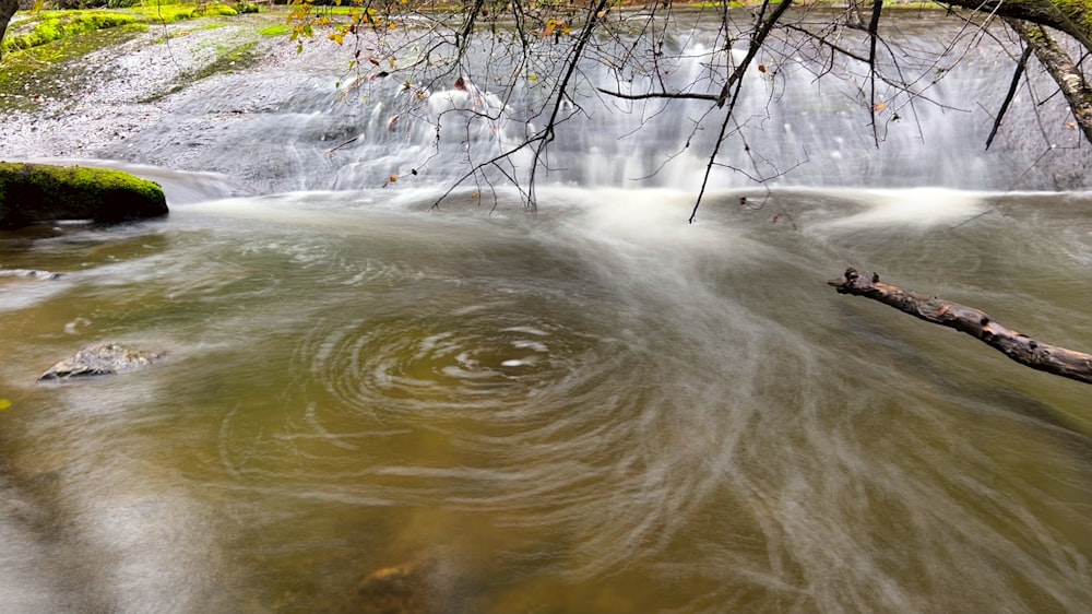 a river with a tree branch in the middle of it