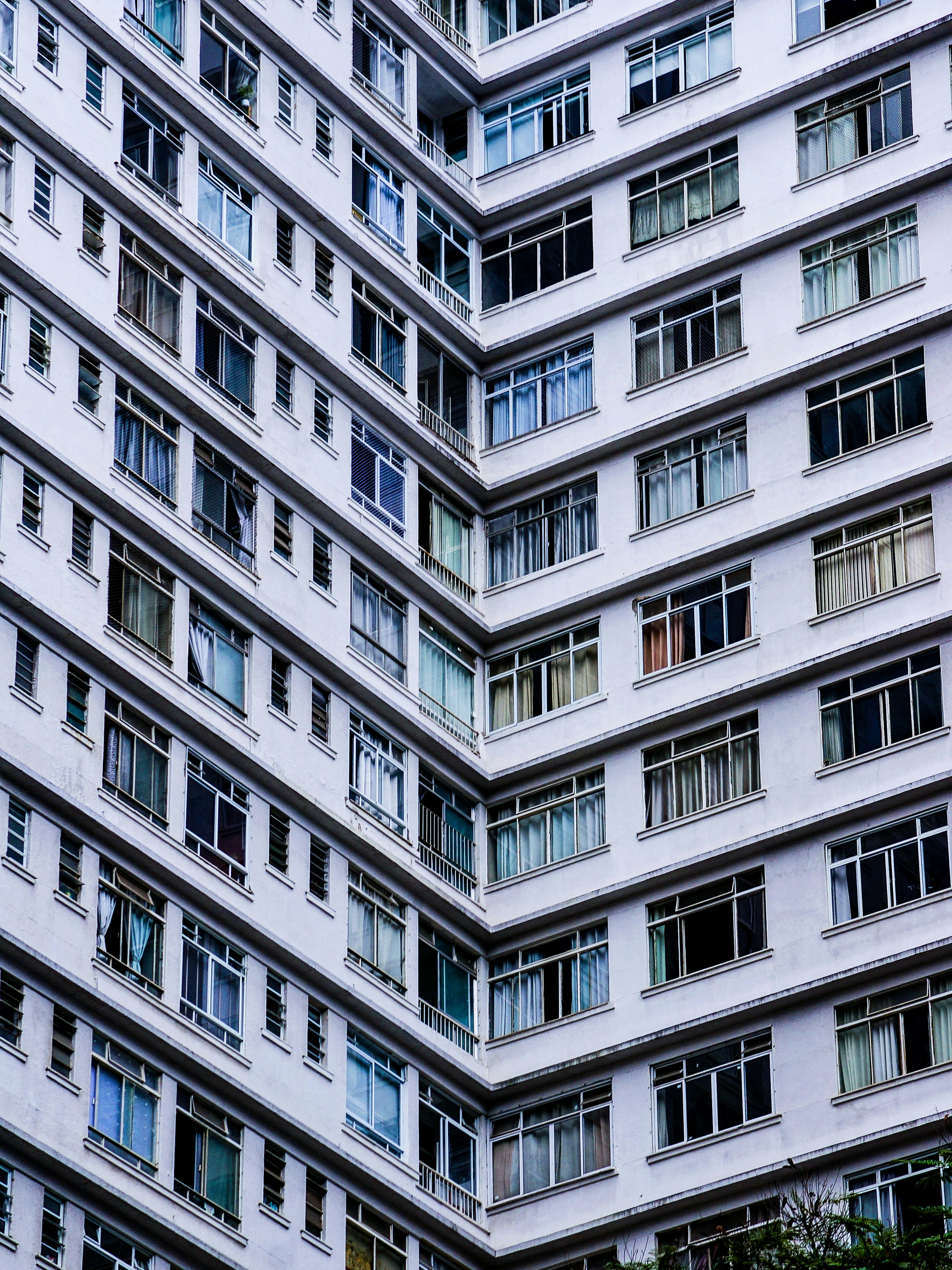 Photo by renanmatosm