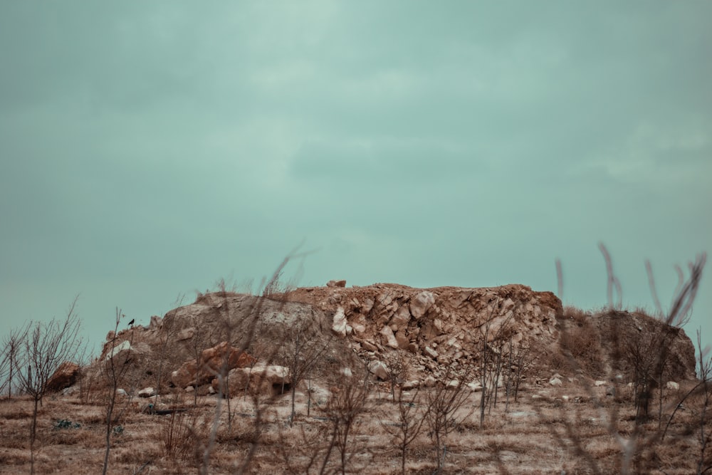 a rock outcropping in the middle of a field