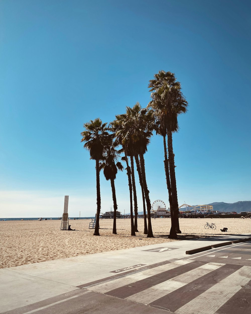 a row of palm trees sitting on top of a sandy beach