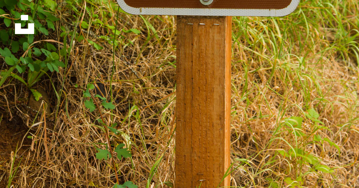 A trail sign on a wooden post in the woods photo – Free Sign Image on ...