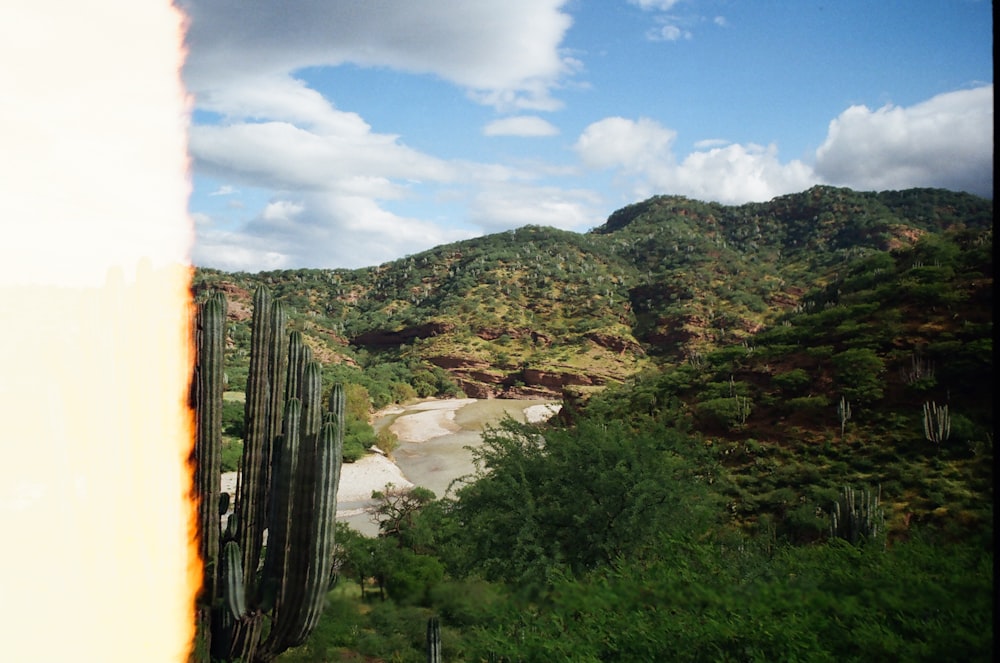 a view of a river and mountains from a train