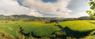 A freshly designed homestead layout sketched over a lush green landscape.