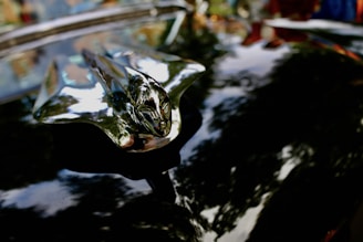 Close-up of a polished vintage car hood ornament shining under the sun.