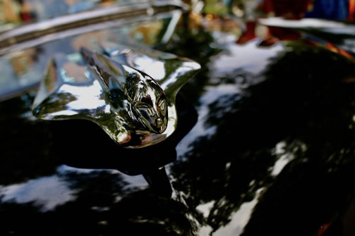 A close-up of a gleaming vintage car hood ornament reflecting the autumn leaves.