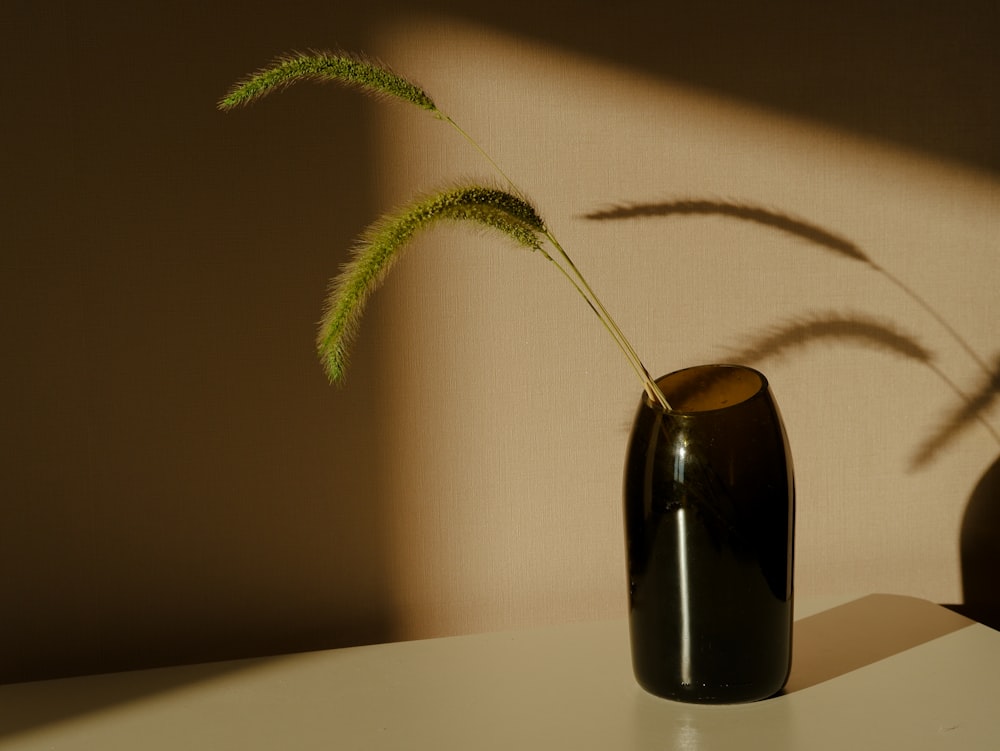 a vase with a plant in it on a table