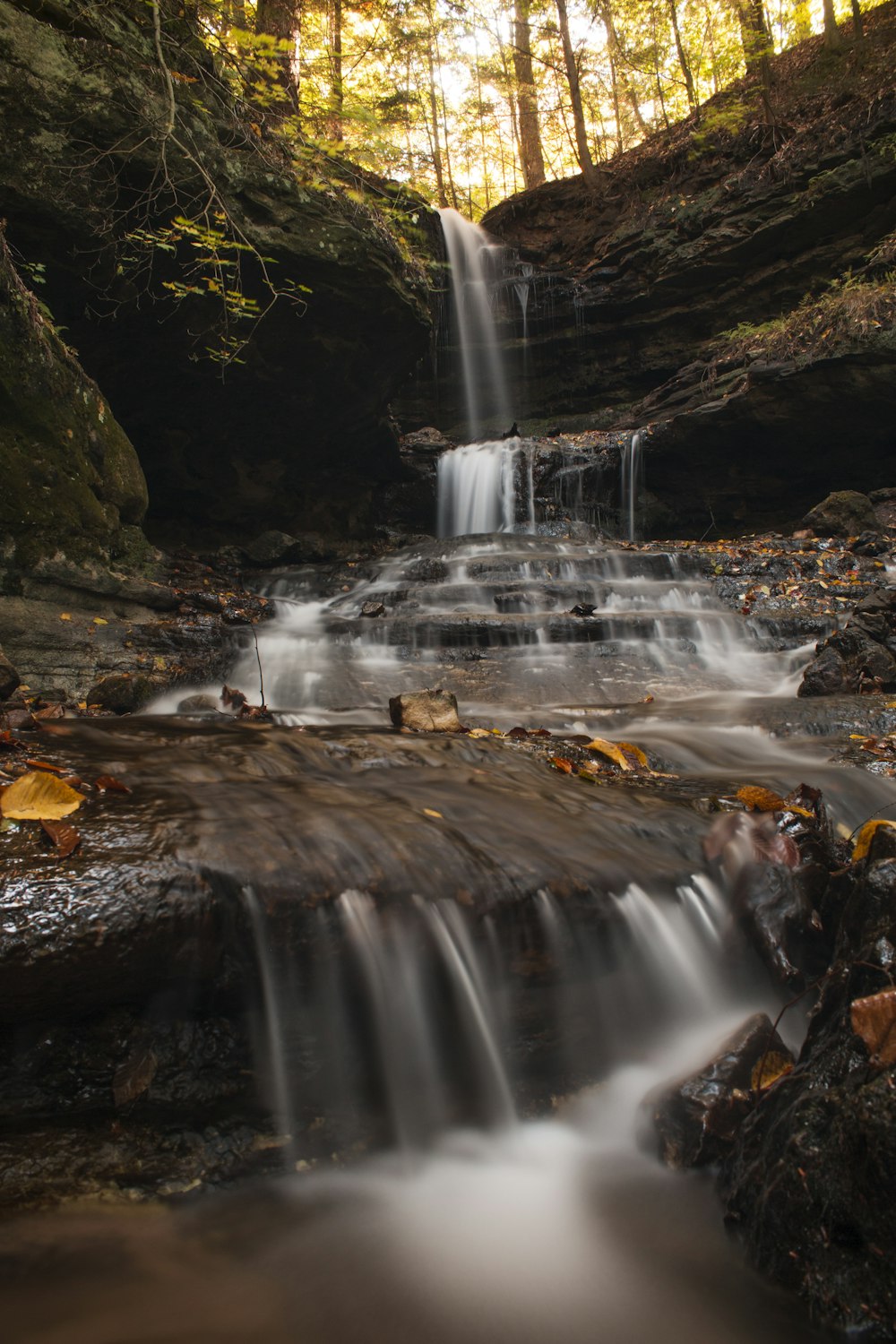 Una pequeña cascada en medio de un bosque