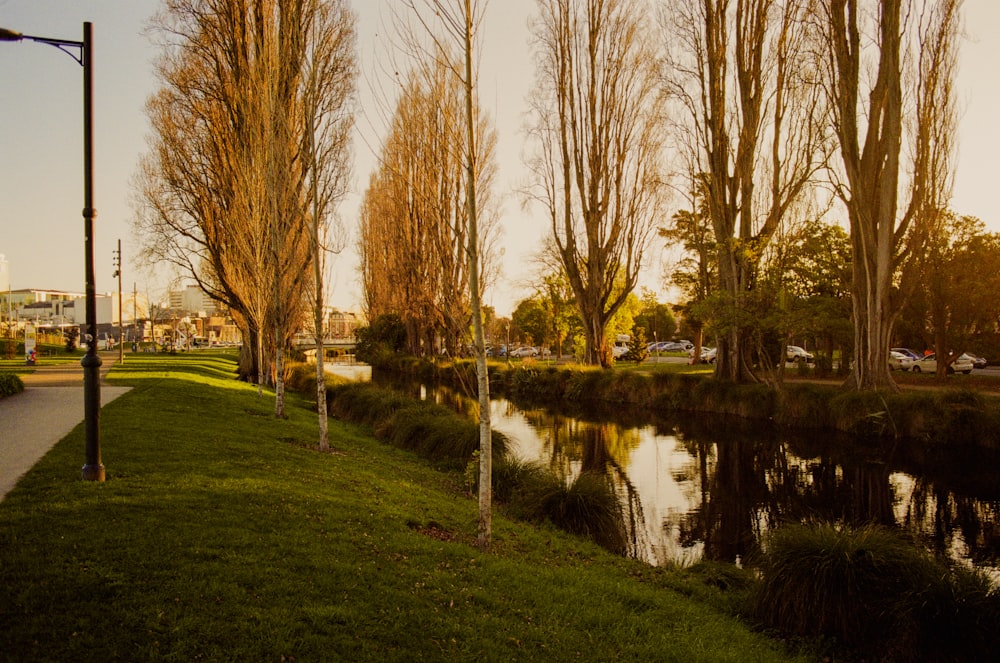 a river running through a park next to a lush green park