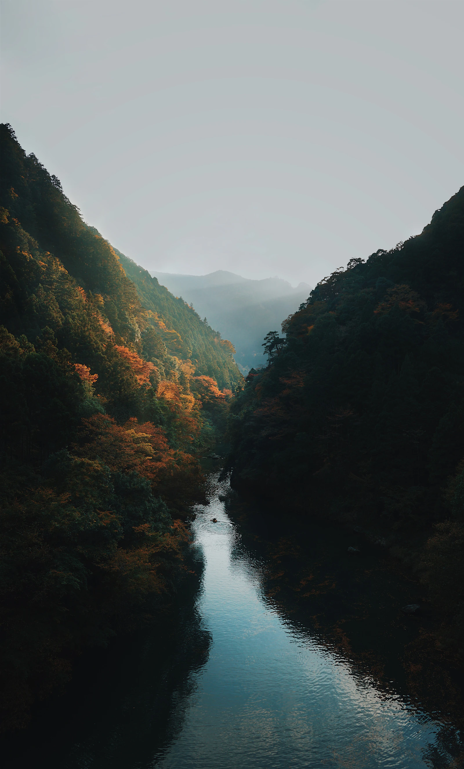 Moodboard image