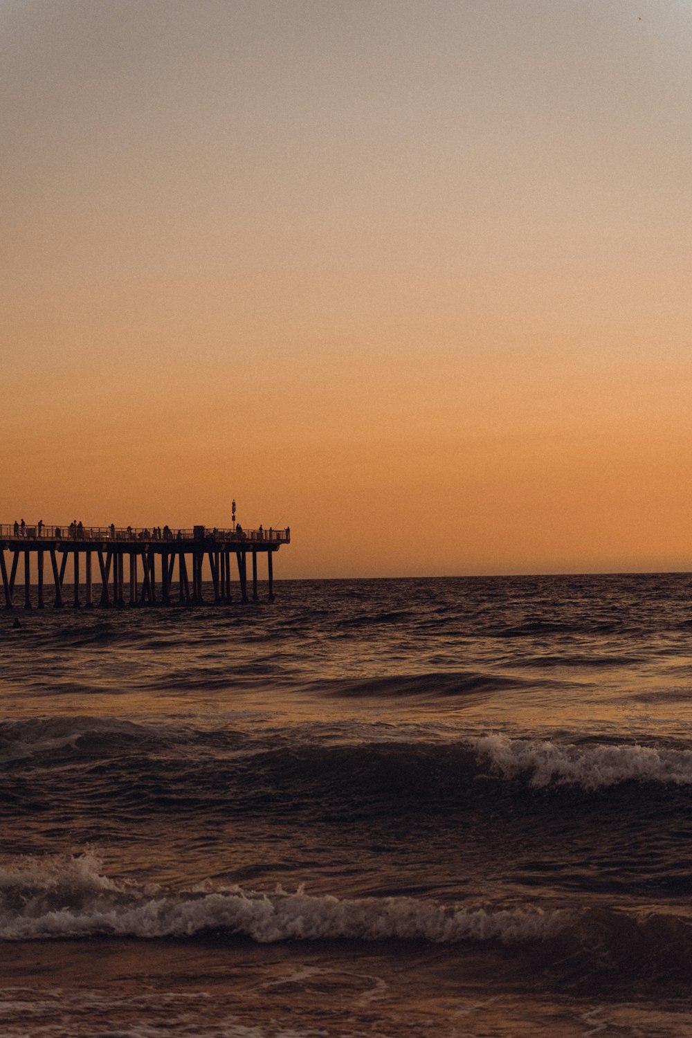 a group of birds sitting on a pier over the ocean