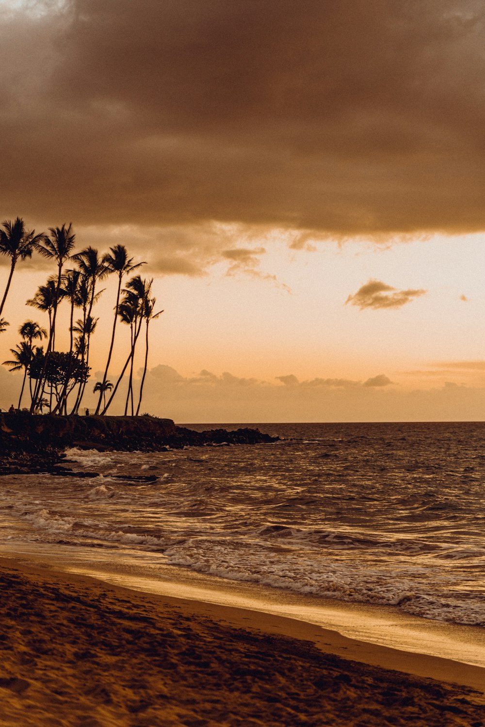 a beach with palm trees and the ocean in the background