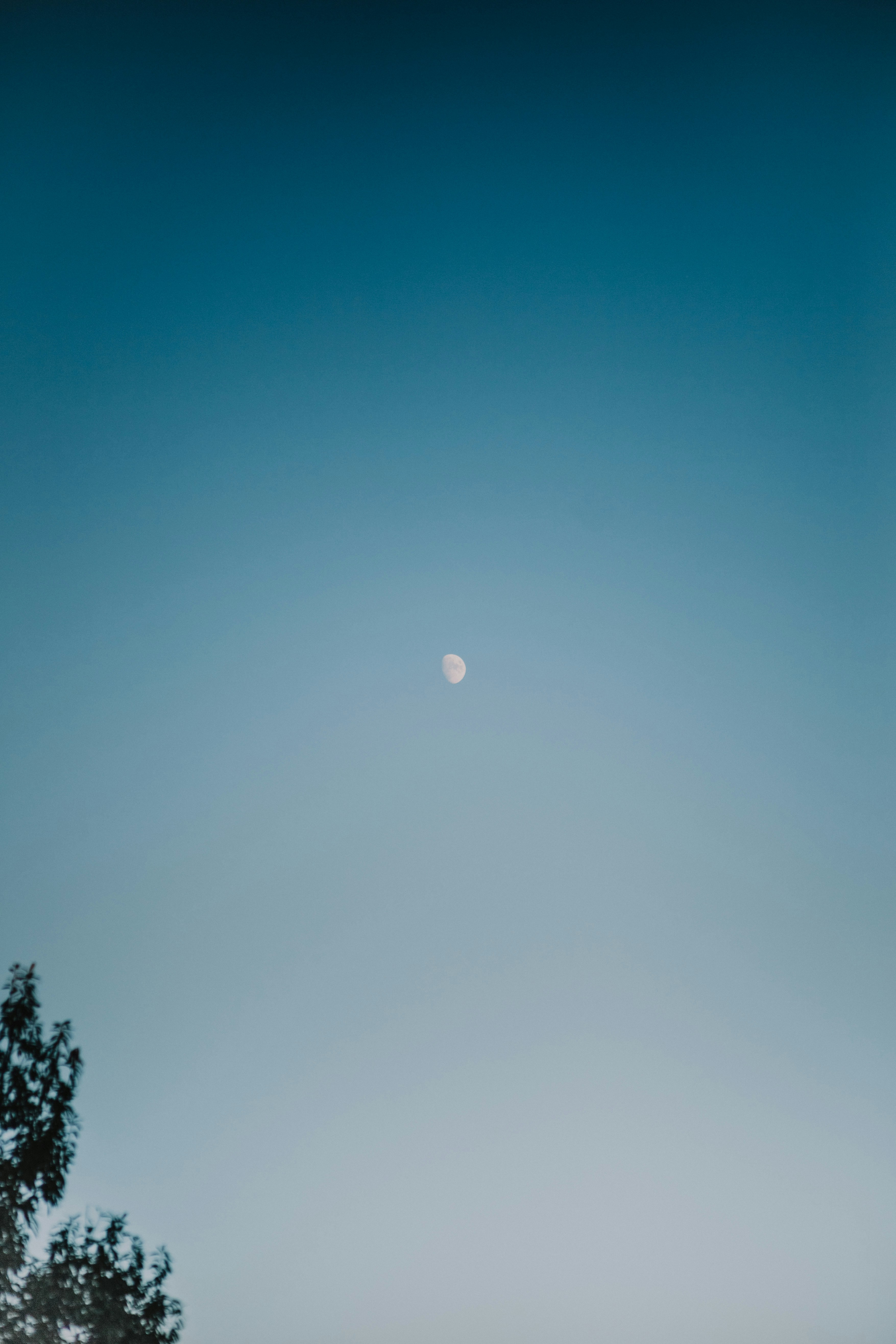 Photo by isaacmartin