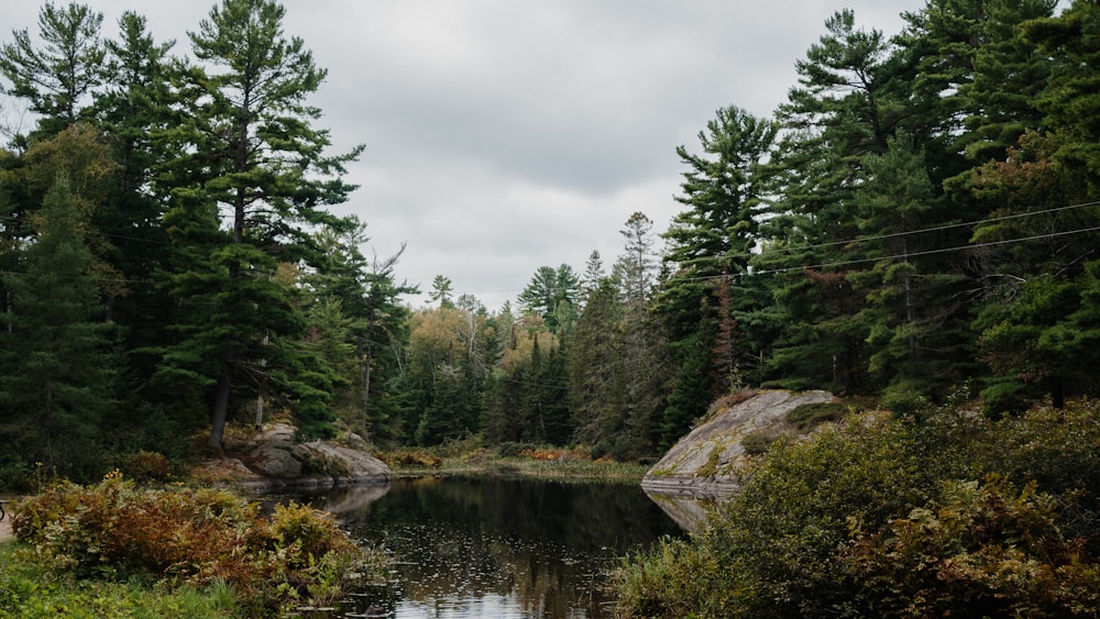 a body of water surrounded by trees on a cloudy day