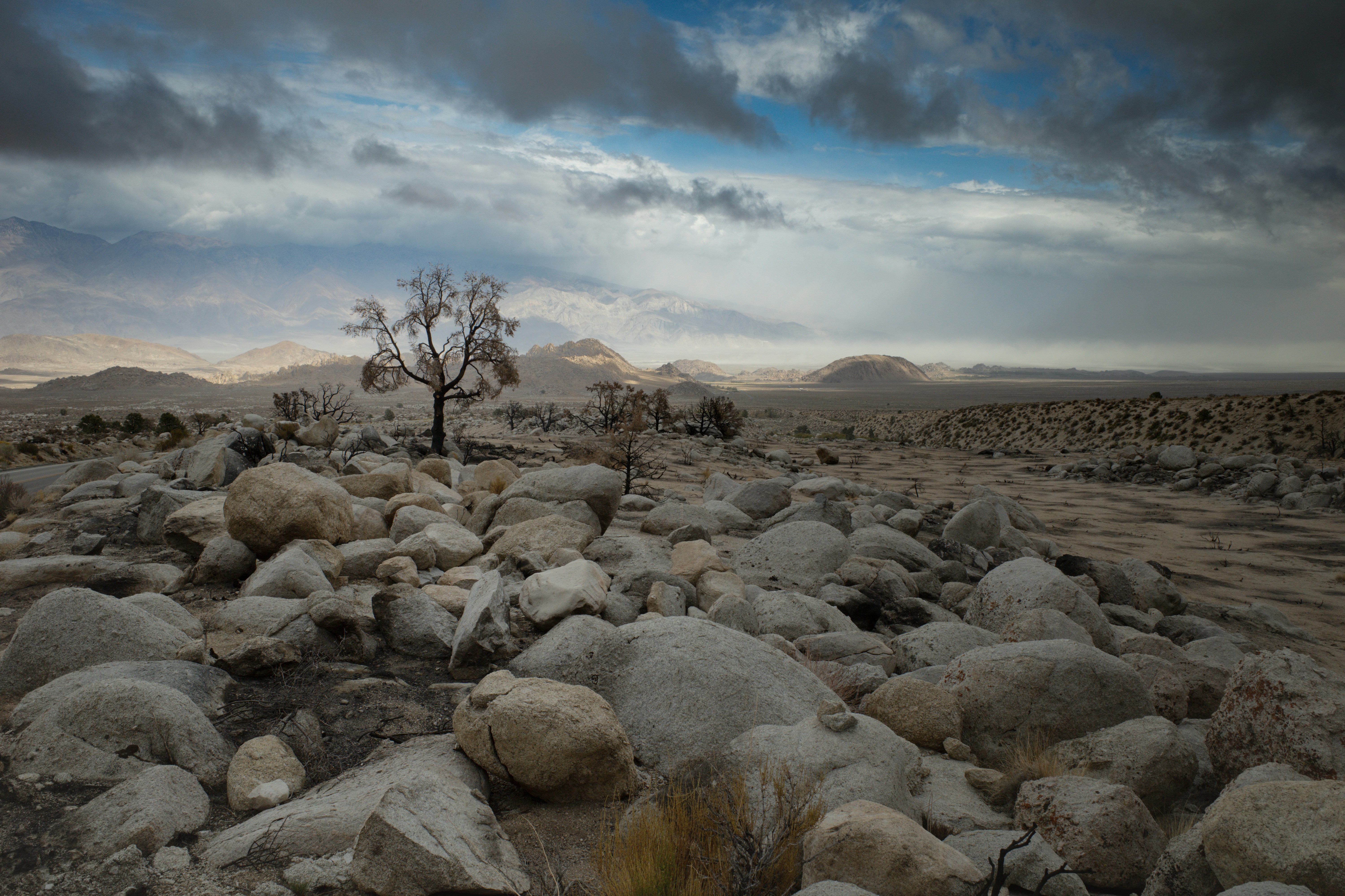 Photo by joehburr