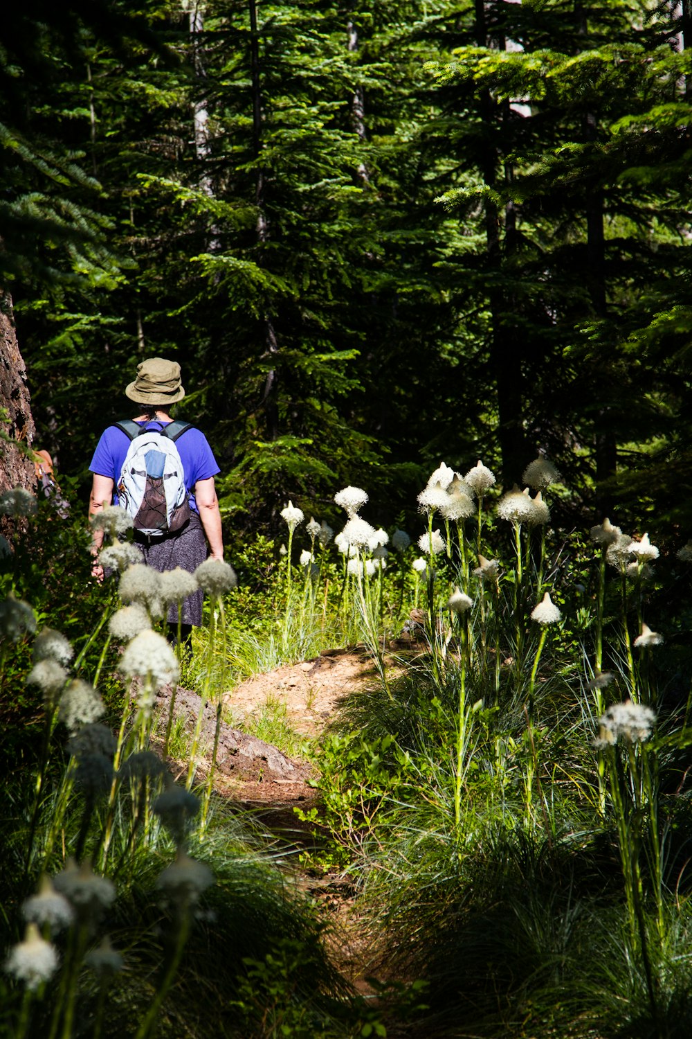 a man with a backpack walking through a forest