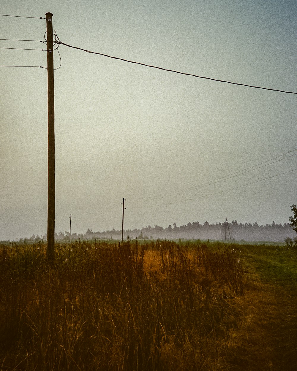 a telephone pole in a field with power lines in the background