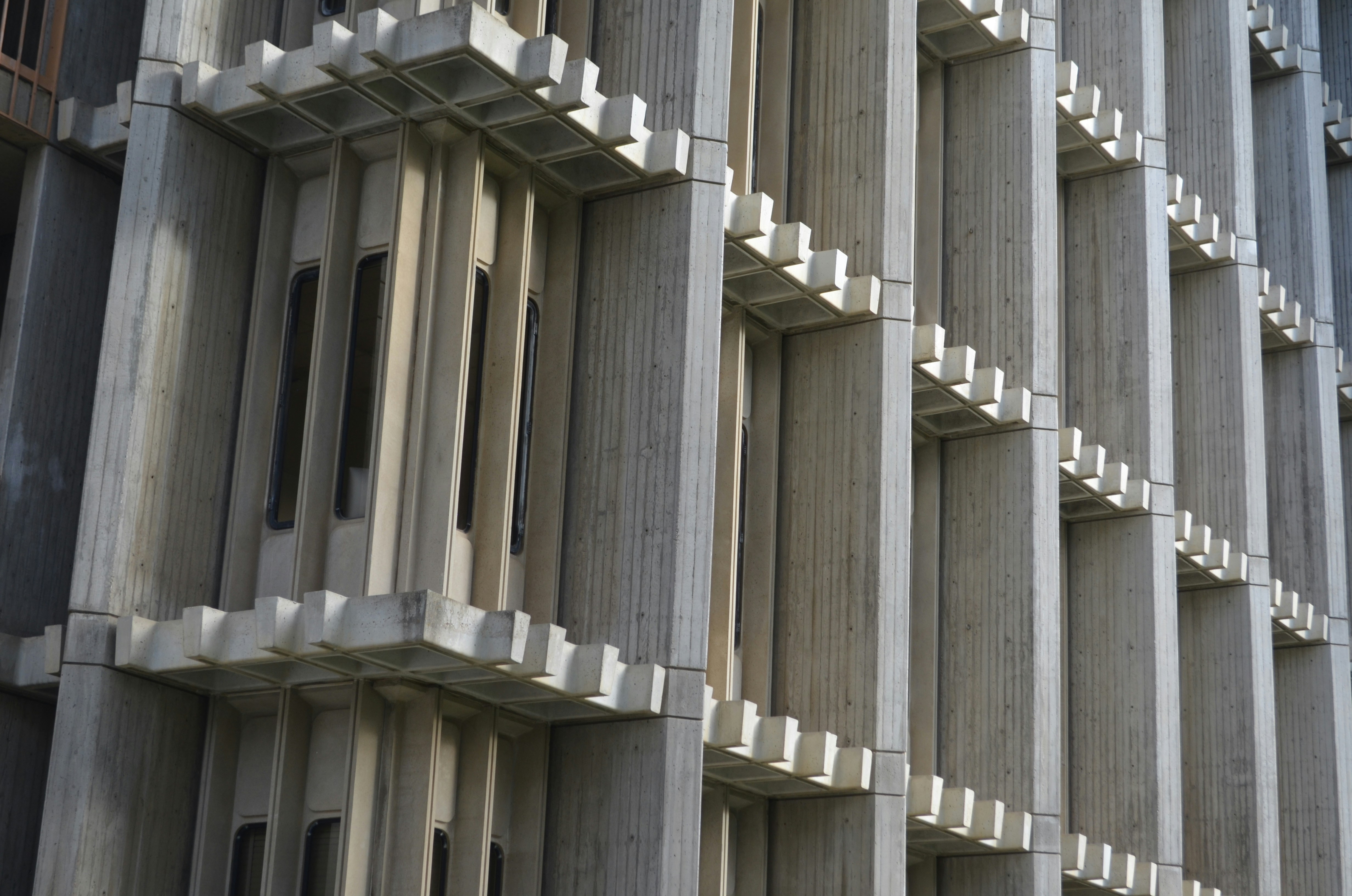 Photo by berlinfirewall