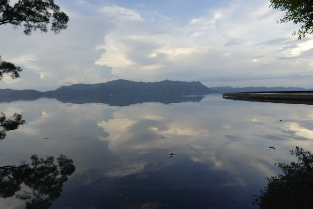 a large body of water surrounded by trees