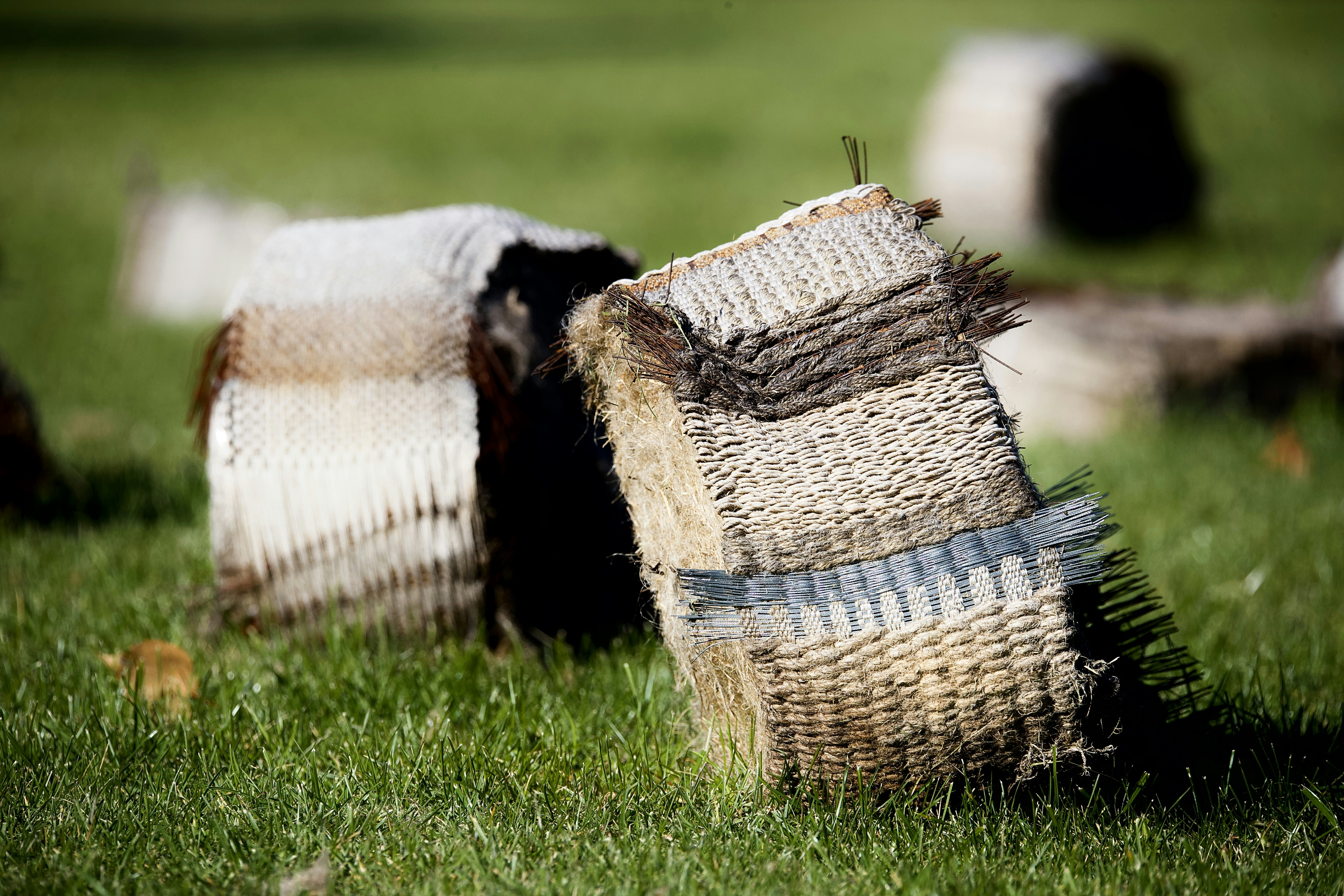 Choose from a curated selection of grass backgrounds. Always free on Unsplash.