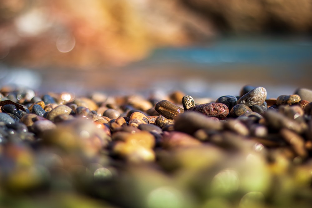 a close up of rocks and gravel on a beach