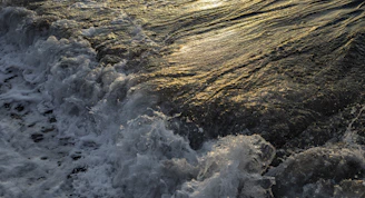 An artistic blend of ocean waves meeting a golden sunrise, symbolizing creativity and collaboration.