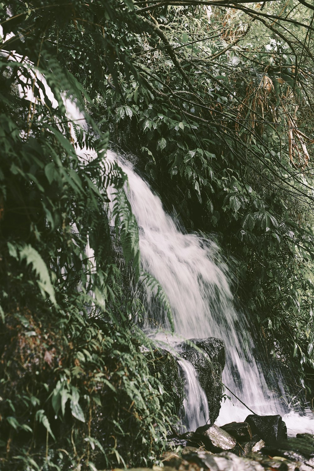 a small waterfall in the middle of a forest