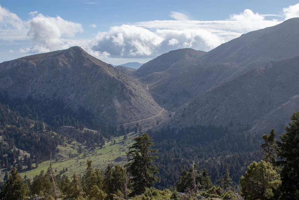 a large mountain in the background