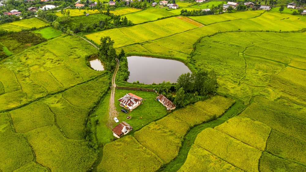 an aerial view of a lush green field