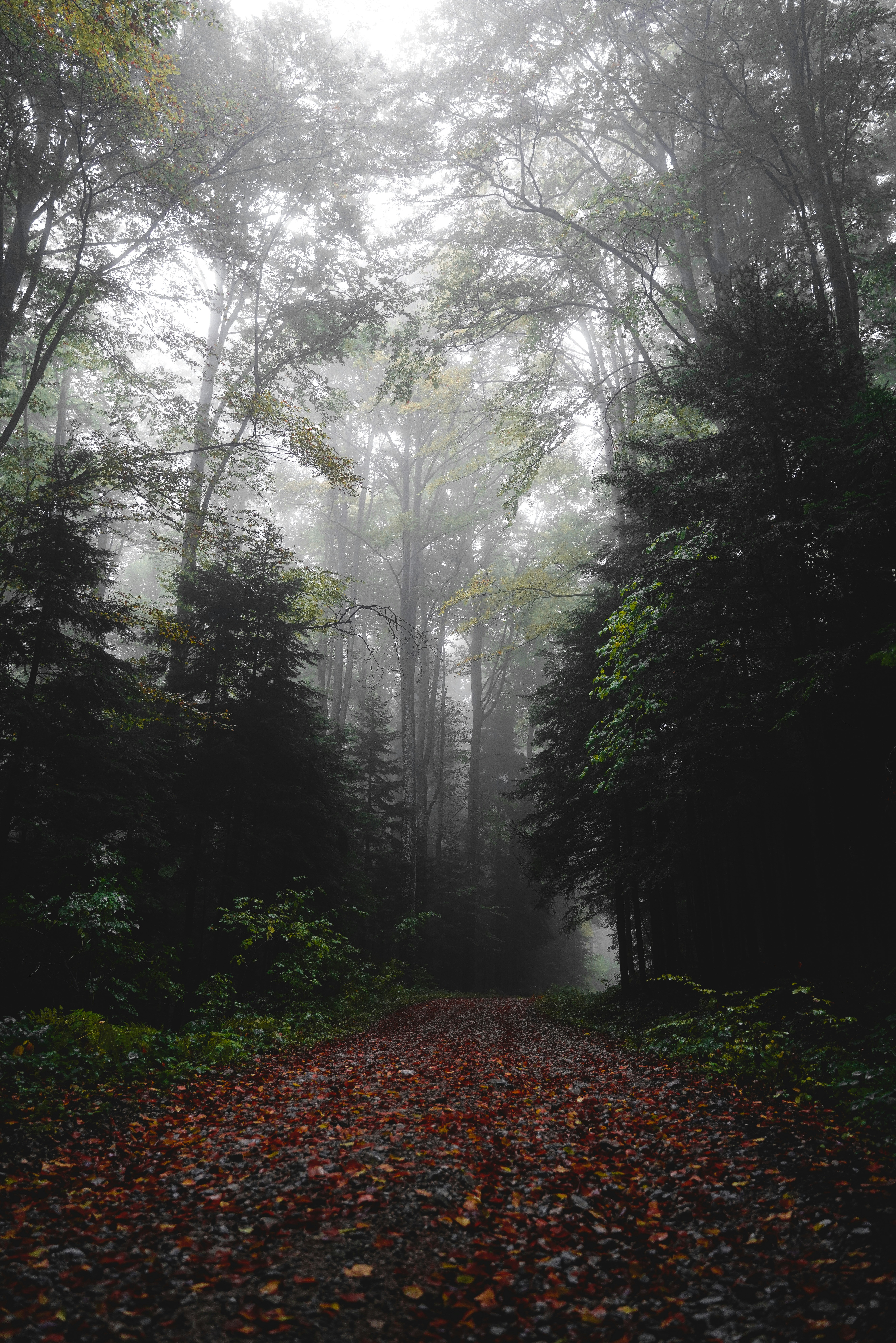 Photo by djordjevukojicic