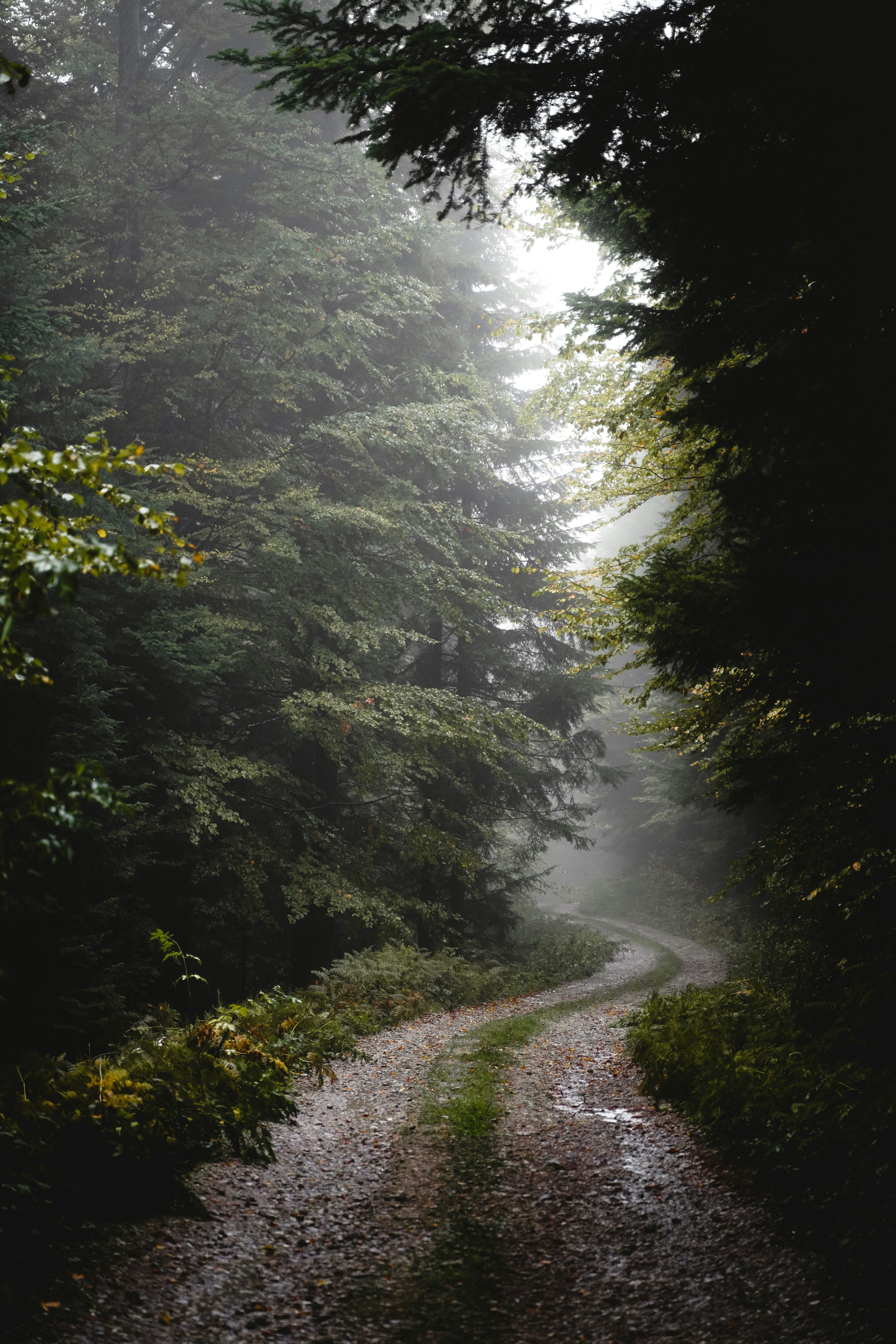 Photo by djordjevukojicic