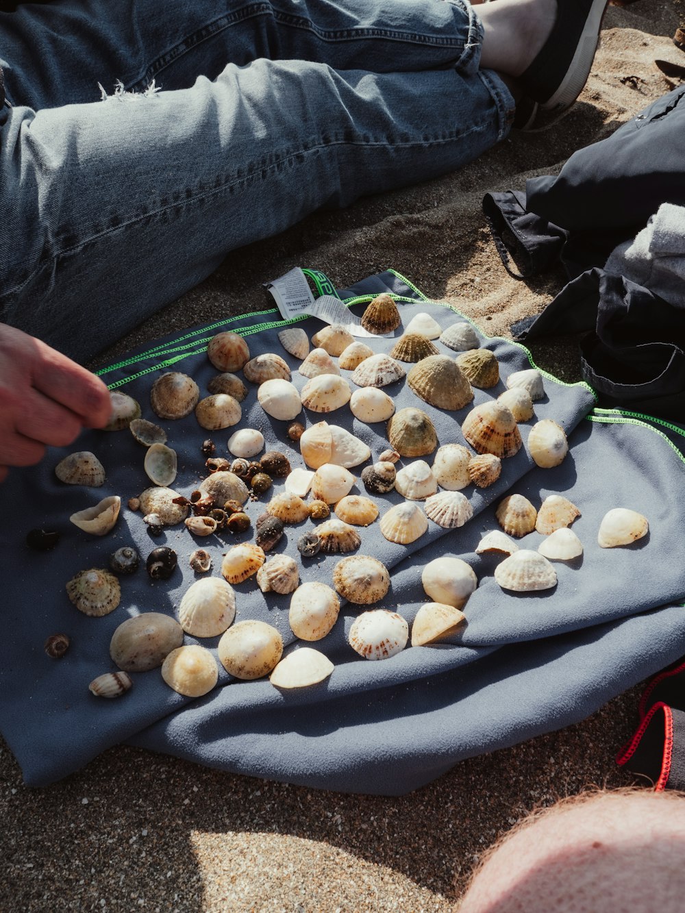 a person sitting on the ground with a bunch of seashells on a towel