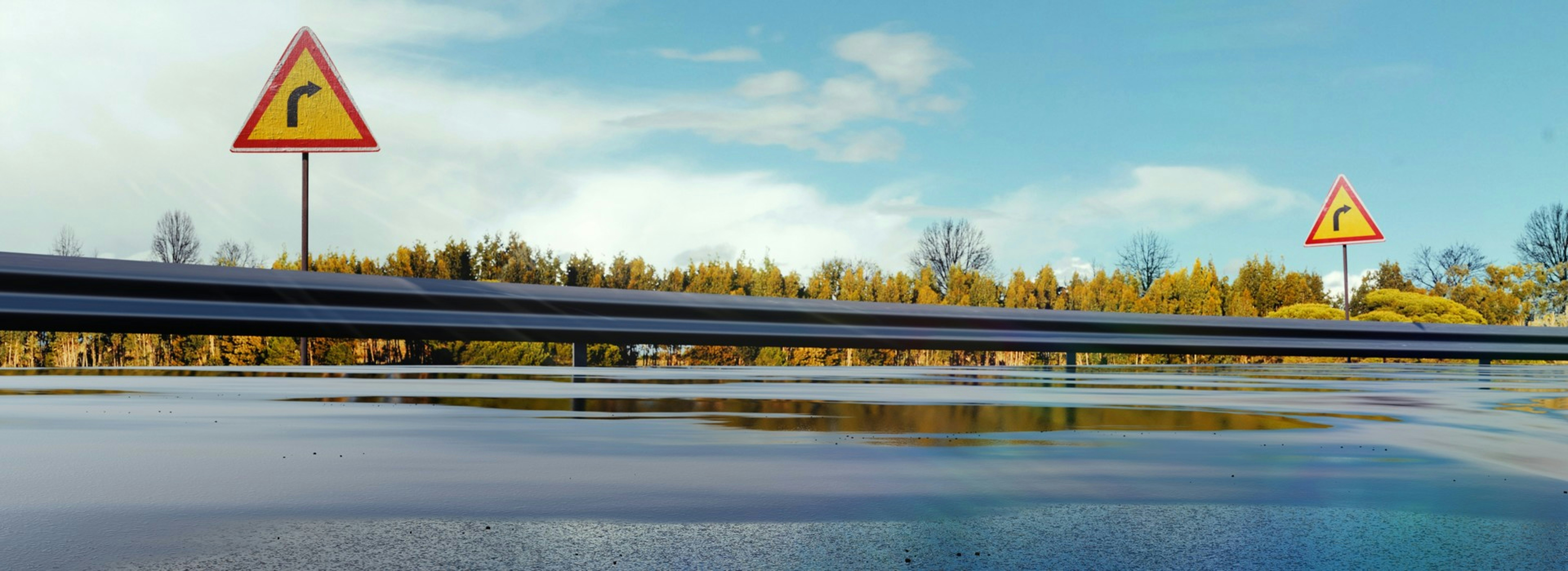 숲 옆의 수역 위의 다리