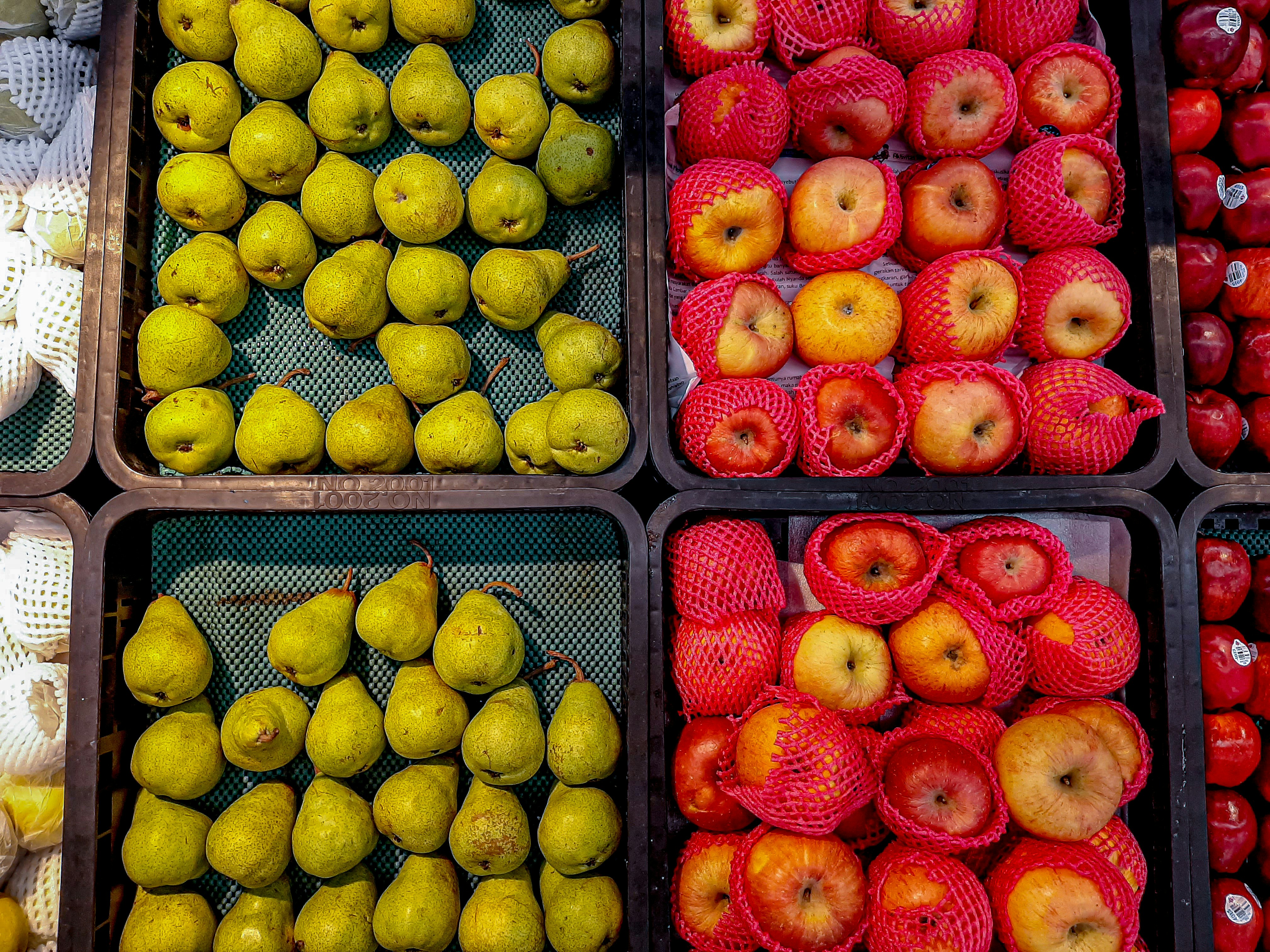 Photo by fauzantaufiq