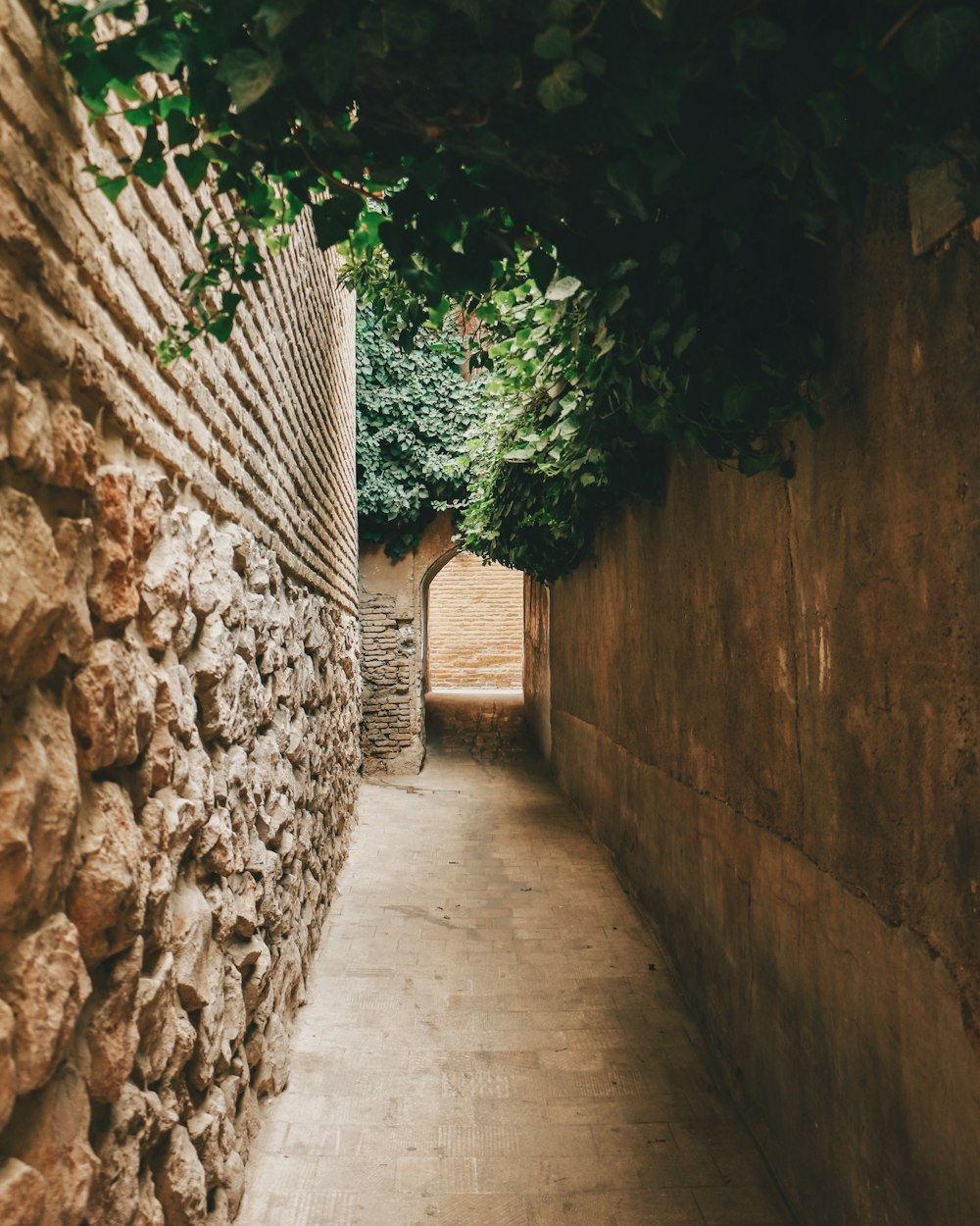 a narrow alley with a stone wall and trees