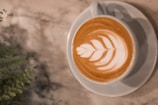 A cup of latte with intricate fern-like latte art on top sits on a white saucer. The background features a soft-focus view of a marble surface and green plant leaves on the left side. The overall ambiance appears calm and inviting.