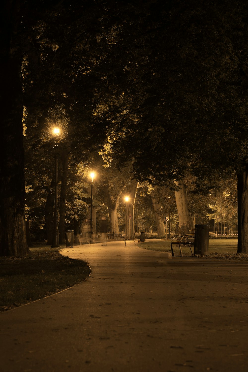 ベンチと街灯のある夜の公園