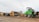 A green front loader is parked next to a stack of large cut logs on a dirt ground in an outdoor lumber yard. Wooden planks are seen neatly arranged nearby, and a small shed is in the background under a partly cloudy sky.