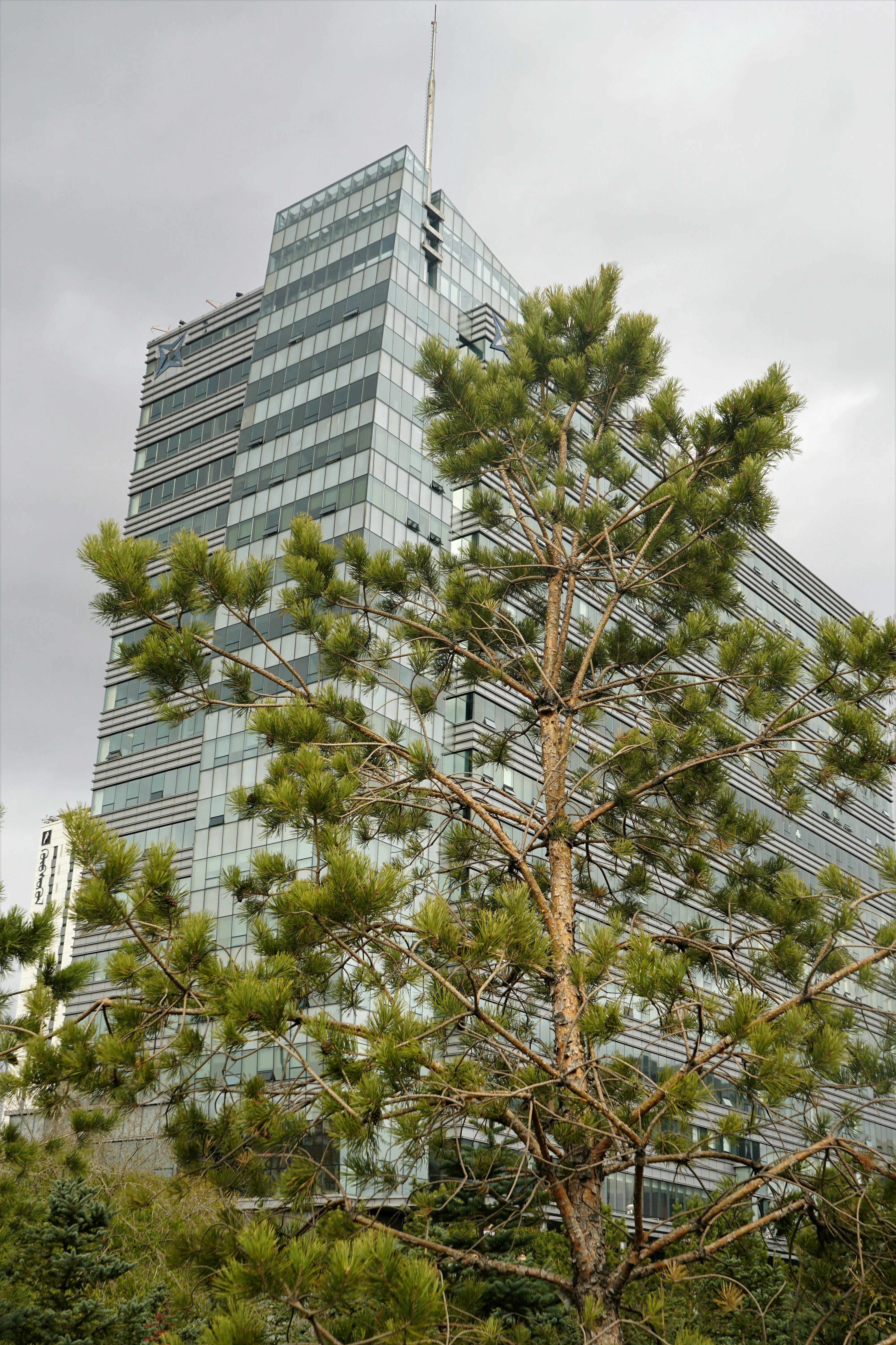 Containers in Pine Level, AL