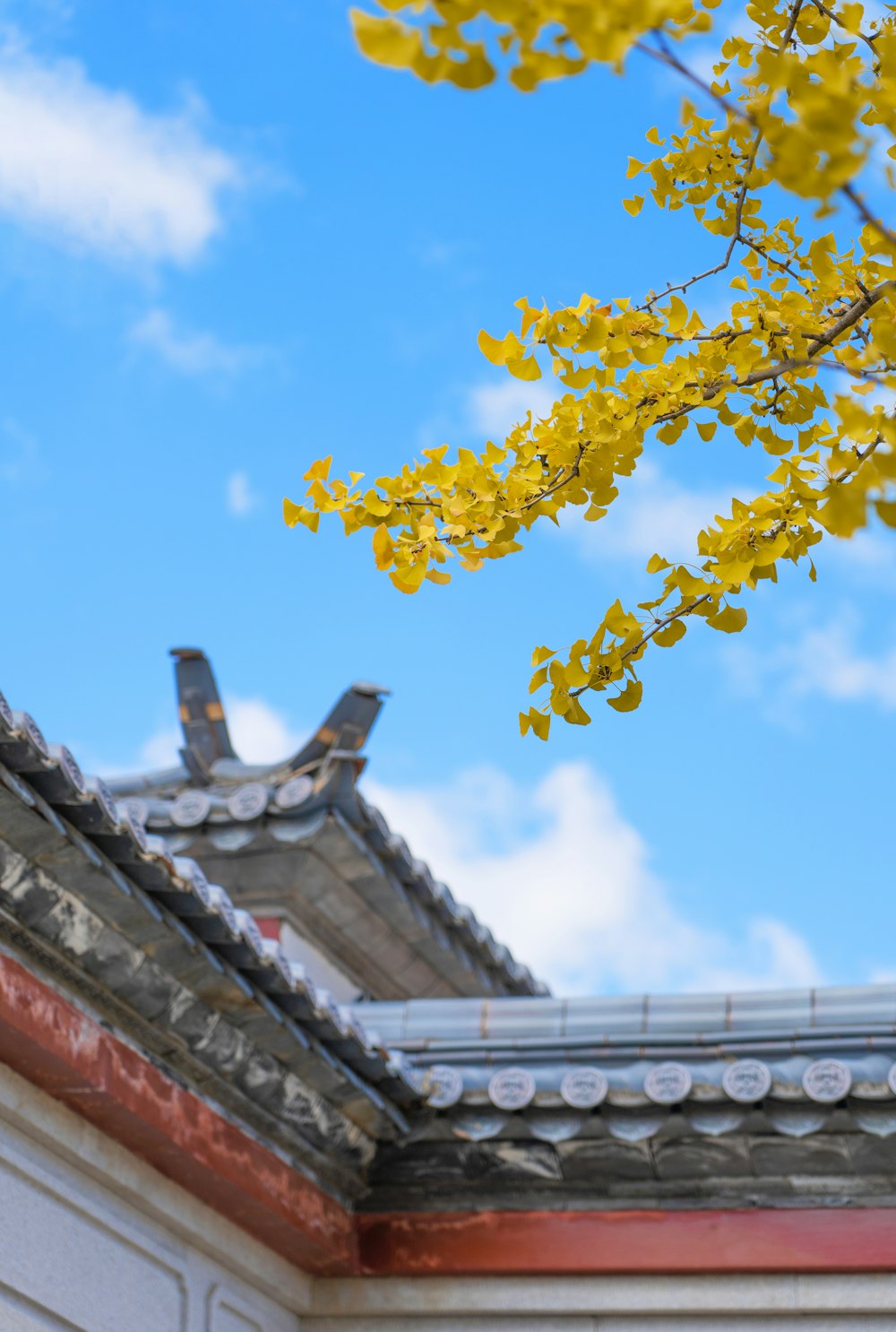 a bird is perched on the roof of a building