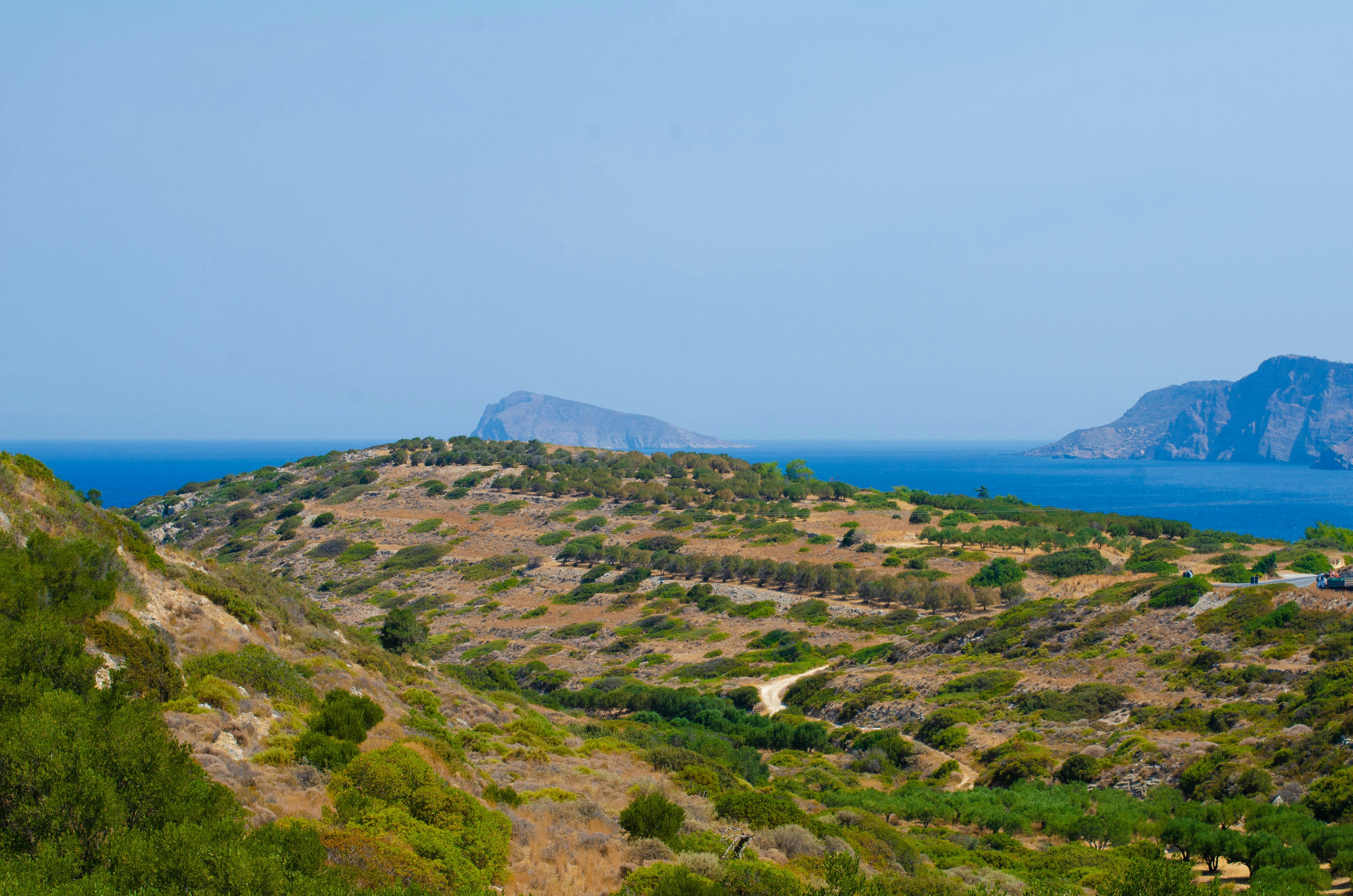 Photo by nika_benedictova