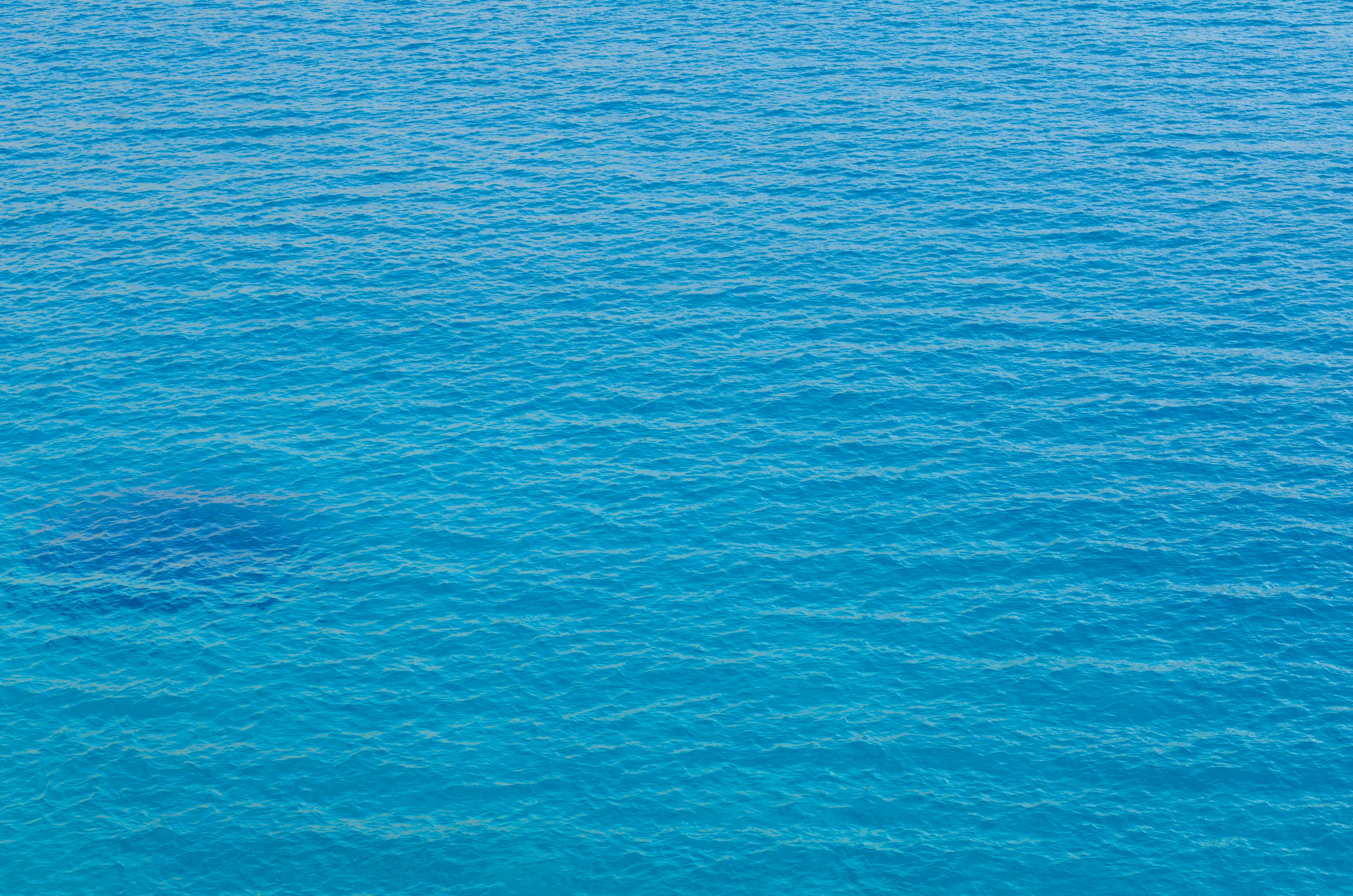 Photo by nika_benedictova