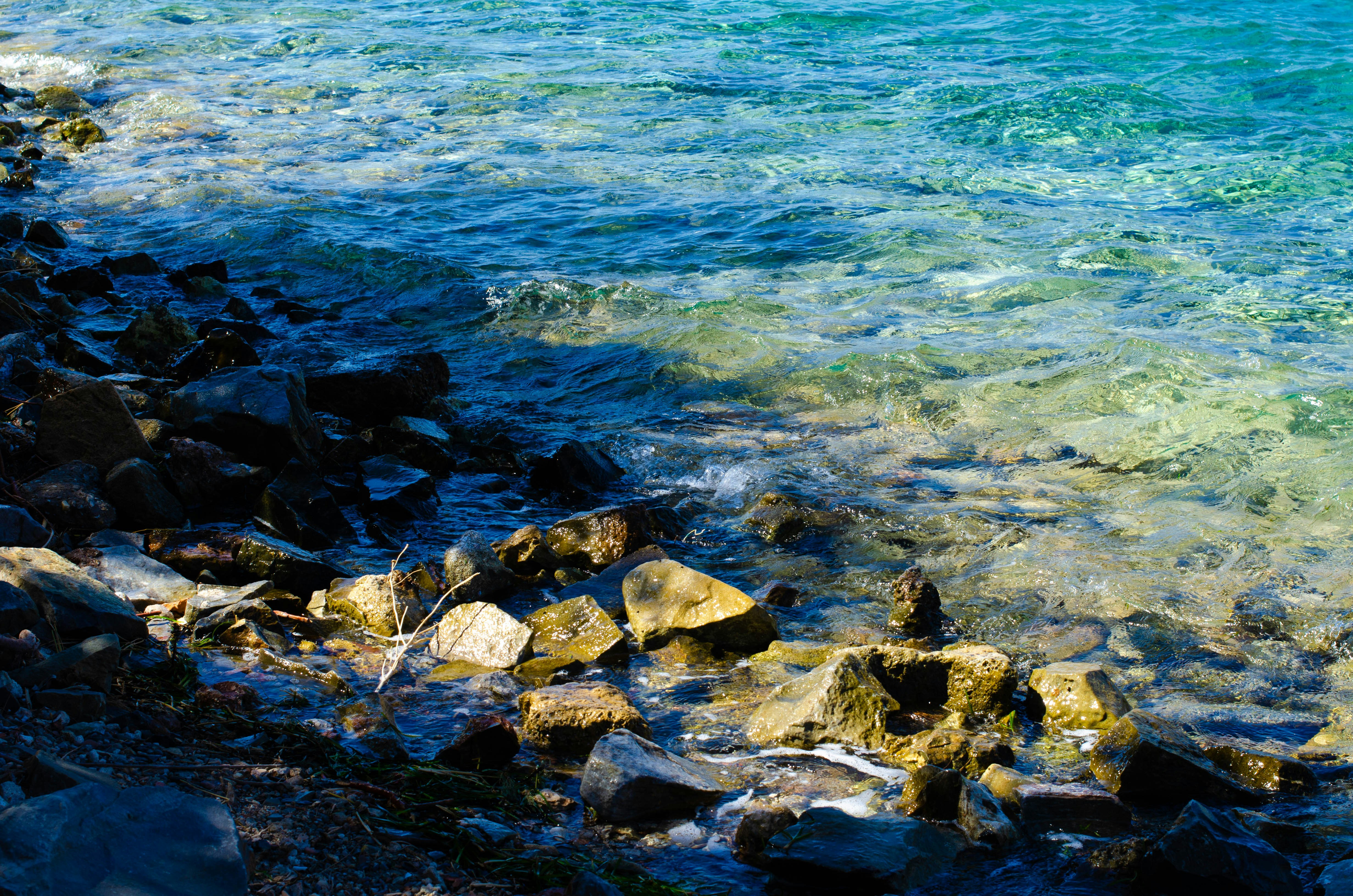 Photo by nika_benedictova