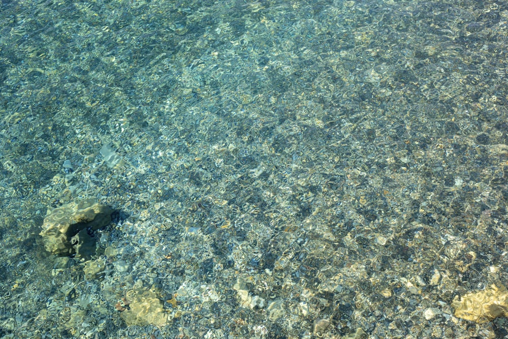 a rock in the middle of a body of water