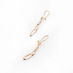 a pair of gold - plated earrings on a white background