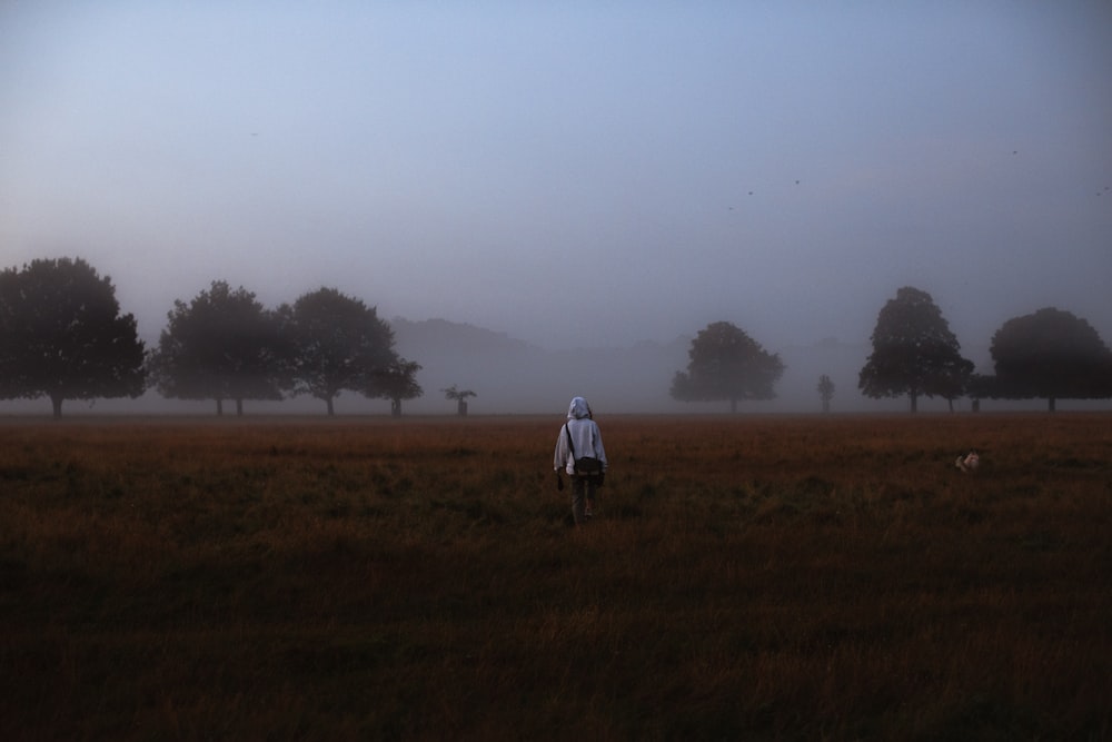 a person standing in a field on a foggy day