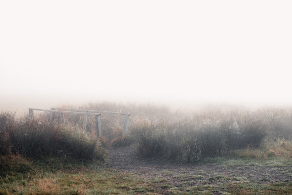 a foggy field with a gate in the foreground