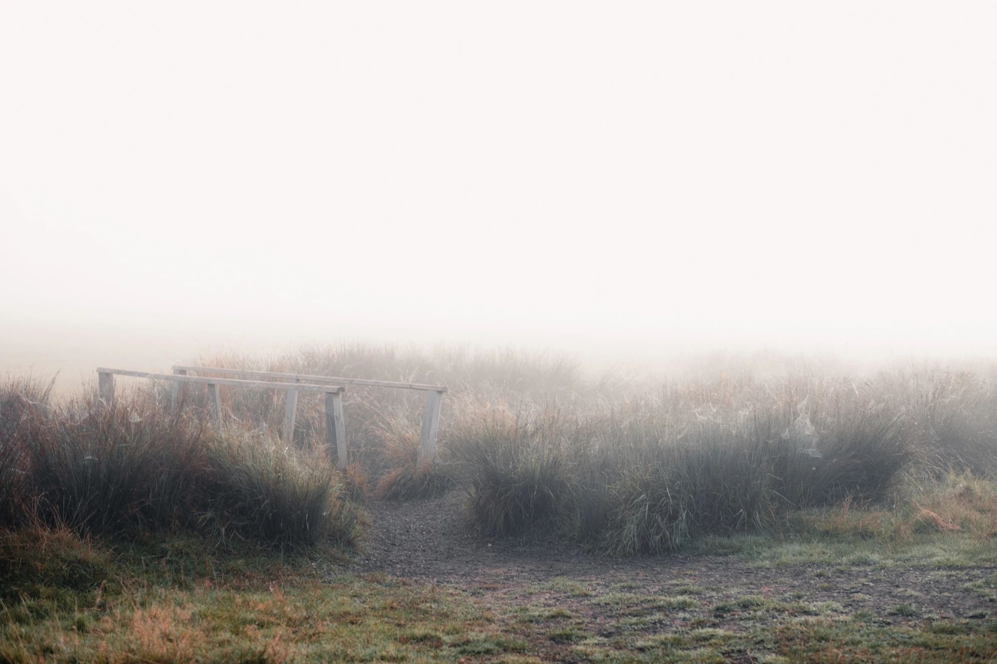 Figure 1 — Morning, before the day declares itself. Photograph, archival source.