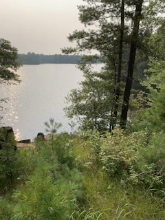 A serene lakeside view at dawn with mist rising over calm water surrounded by pine trees in northern Minnesota.